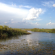 An example of an artificial canal dug to divert water in South Florida.